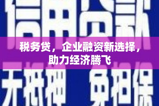 灌云税务贷，企业融资新选择，助力经济腾飞