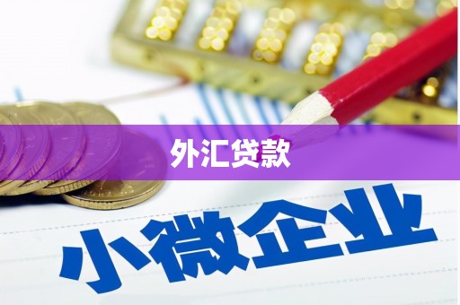 灌云外汇贷款