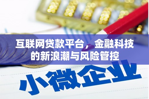 灌云互联网贷款平台，金融科技的新浪潮与风险管控