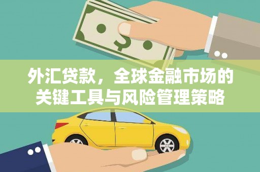 灌云外汇贷款，全球金融市场的关键工具与风险管理策略
