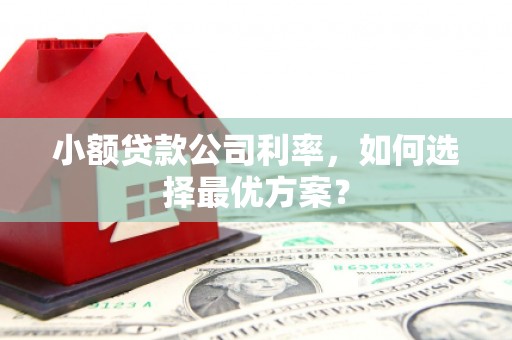 灌云小额贷款公司利率，如何选择最优方案？