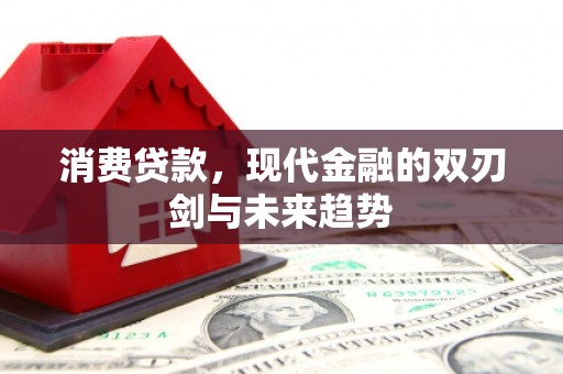 灌云消费贷款，现代金融的双刃剑与未来趋势