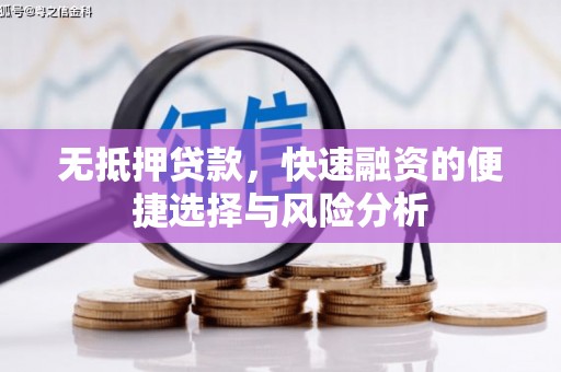 灌云无抵押贷款，快速融资的便捷选择与风险分析