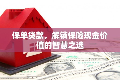 灌云保单贷款，解锁保险现金价值的智慧之选