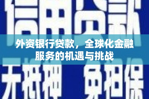 灌云外资银行贷款，全球化金融服务的机遇与挑战
