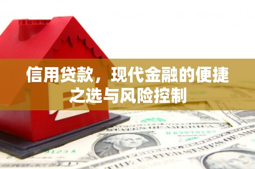 灌云信用贷款，现代金融的便捷之选与风险控制