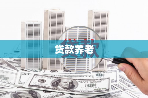 灌云贷款养老