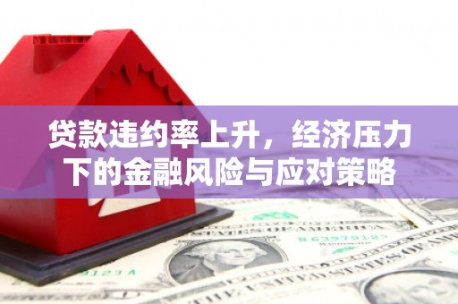 灌云贷款违约率上升，经济压力下的金融风险与应对策略