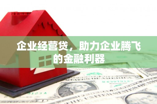 灌云企业经营贷，助力企业腾飞的金融利器