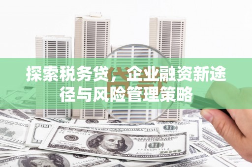 灌云探索税务贷，企业融资新途径与风险管理策略