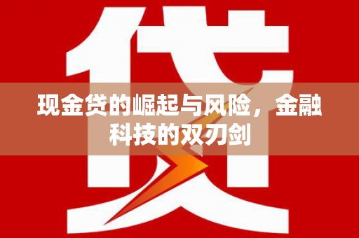 灌云现金贷的崛起与风险，金融科技的双刃剑