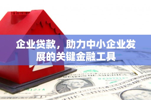 灌云企业贷款，助力中小企业发展的关键金融工具