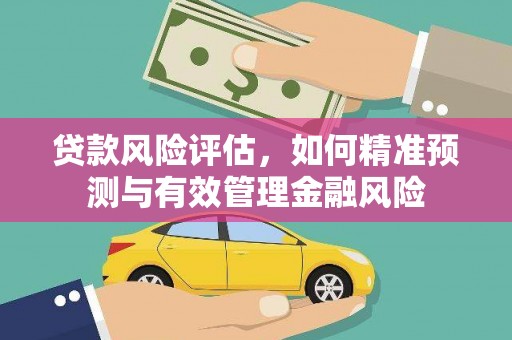 灌云贷款风险评估，如何精准预测与有效管理金融风险