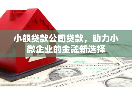 灌云小额贷款公司贷款，助力小微企业的金融新选择