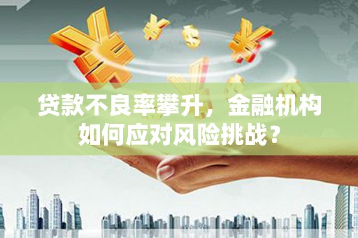 灌云贷款不良率攀升，金融机构如何应对风险挑战？