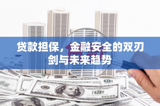 灌云贷款担保，金融安全的双刃剑与未来趋势