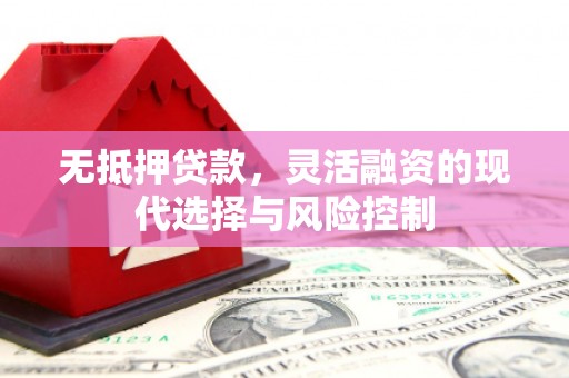 灌云无抵押贷款，灵活融资的现代选择与风险控制
