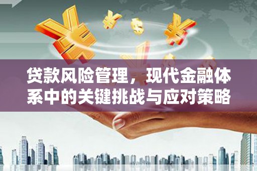 灌云贷款风险管理，现代金融体系中的关键挑战与应对策略