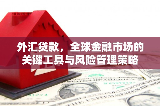 灌云外汇贷款，全球金融市场的关键工具与风险管理策略