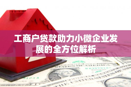 灌云工商户贷款助力小微企业发展的全方位解析