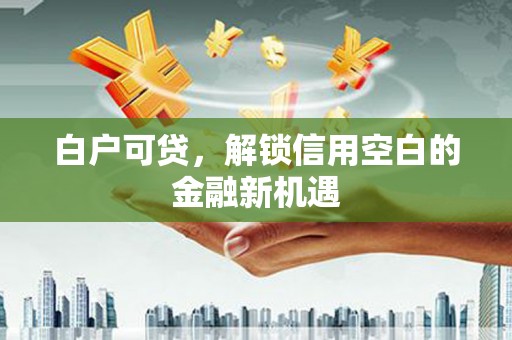 灌云白户可贷，解锁信用空白的金融新机遇