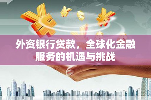 灌云外资银行贷款，全球化金融服务的机遇与挑战
