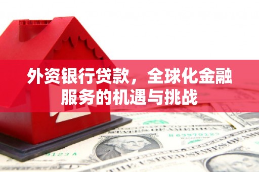 灌云外资银行贷款，全球化金融服务的机遇与挑战