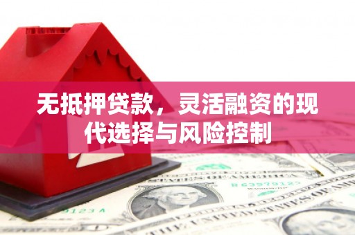 灌云无抵押贷款，灵活融资的现代选择与风险控制