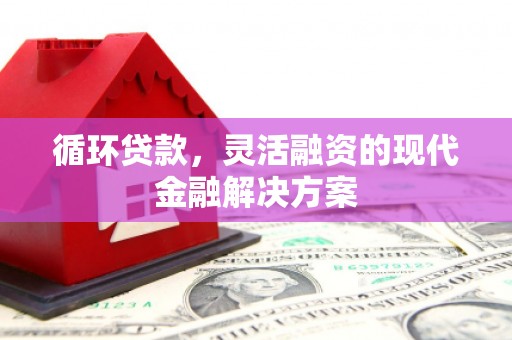 灌云循环贷款，灵活融资的现代金融解决方案