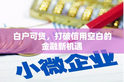 灌云白户可贷，打破信用空白的金融新机遇