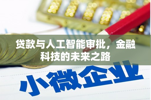 灌云贷款与人工智能审批，金融科技的未来之路