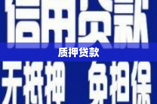 灌云质押贷款