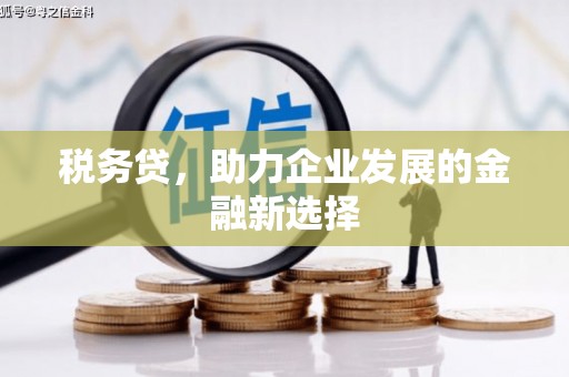 灌云税务贷，助力企业发展的金融新选择