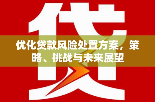 灌云优化贷款风险处置方案，策略、挑战与未来展望