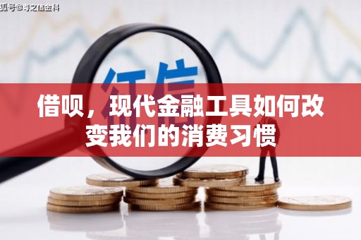 灌云借呗，现代金融工具如何改变我们的消费习惯