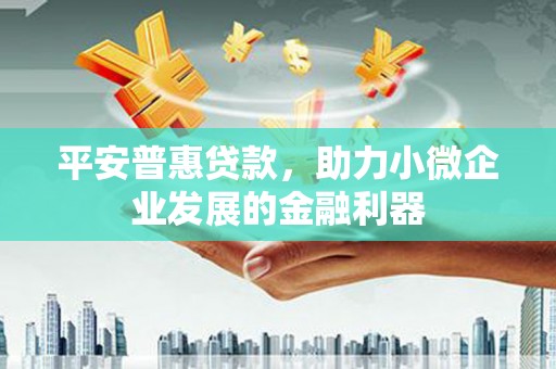 灌云平安普惠贷款，助力小微企业发展的金融利器
