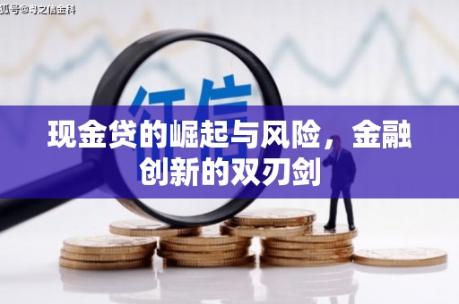 灌云现金贷的崛起与风险，金融创新的双刃剑