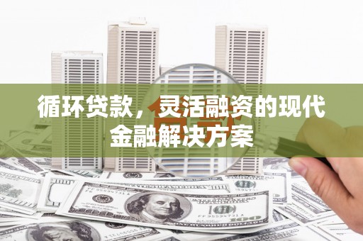 灌云循环贷款，灵活融资的现代金融解决方案