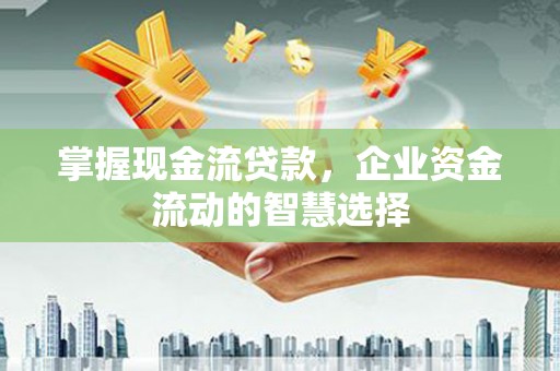灌云掌握现金流贷款，企业资金流动的智慧选择