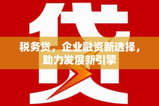 灌云税务贷，企业融资新选择，助力发展新引擎