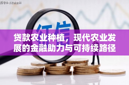 灌云贷款农业种植，现代农业发展的金融助力与可持续路径