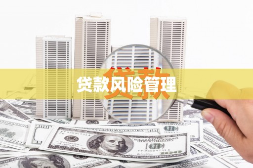 灌云贷款风险管理