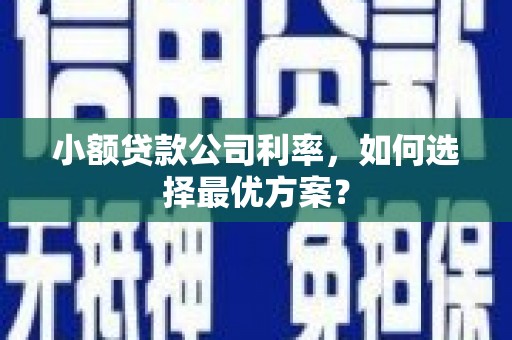 灌云小额贷款公司利率，如何选择最优方案？