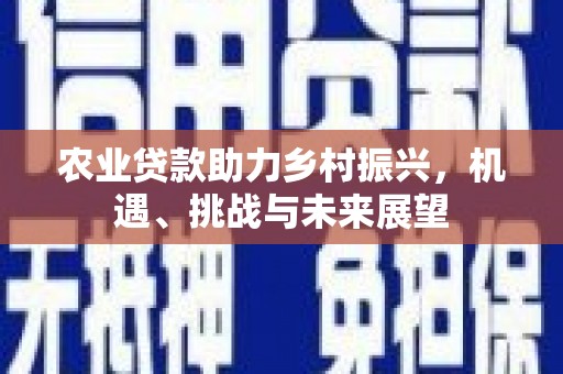 灌云农业贷款助力乡村振兴，机遇、挑战与未来展望