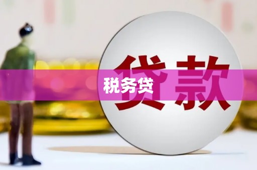 灌云税务贷