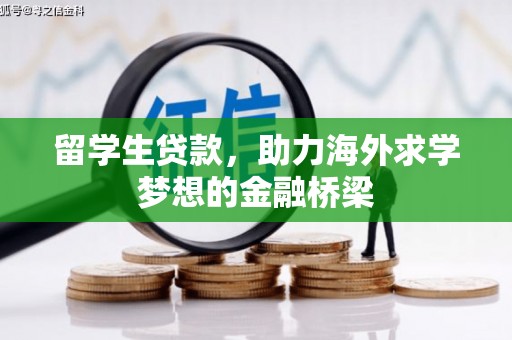 灌云留学生贷款，助力海外求学梦想的金融桥梁