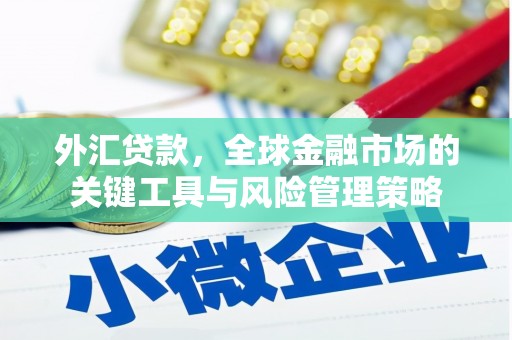 灌云外汇贷款，全球金融市场的关键工具与风险管理策略