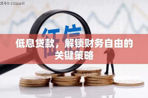 灌云低息贷款，解锁财务自由的关键策略