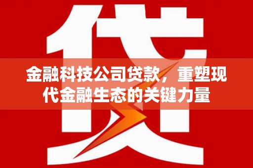 灌云金融科技公司贷款，重塑现代金融生态的关键力量