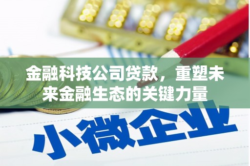 灌云金融科技公司贷款，重塑未来金融生态的关键力量